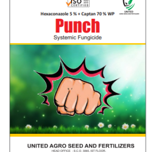 Punch Systemic Fungicide