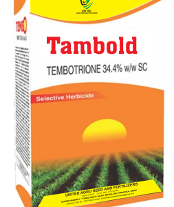 Tambold